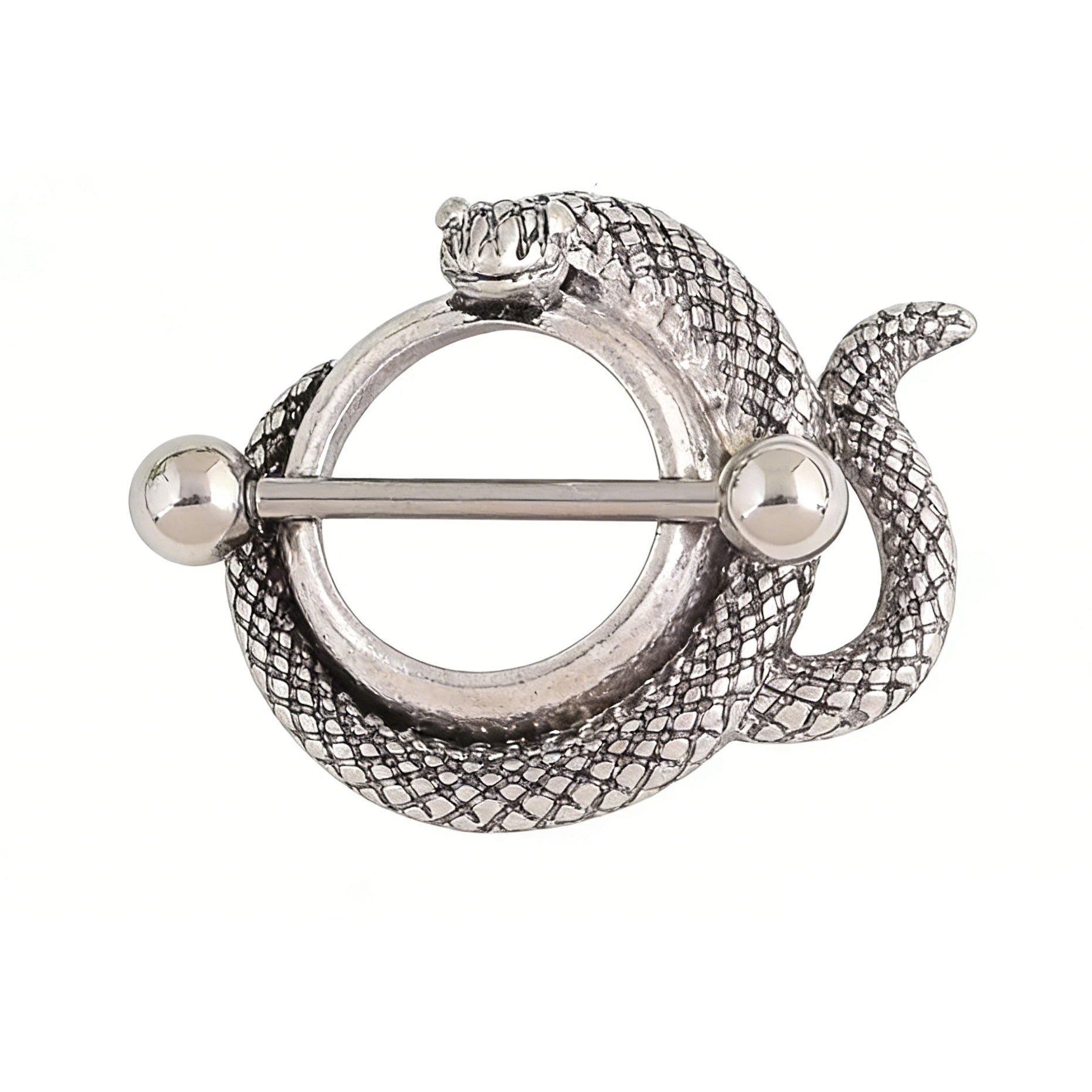 Front view of an antique silver snake nipple shield with a coiled serpent design.